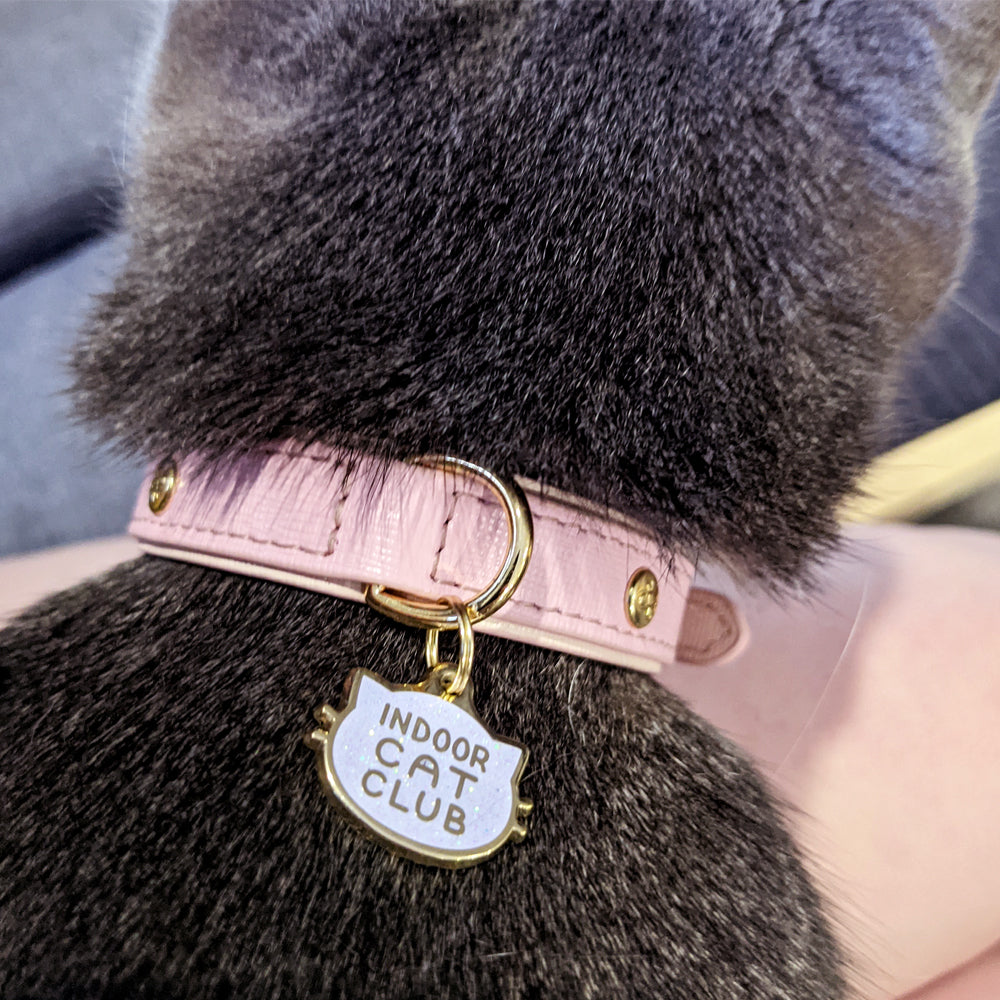 Indoor Cat Club (Pink) Collar Tag by Fox and Cactus